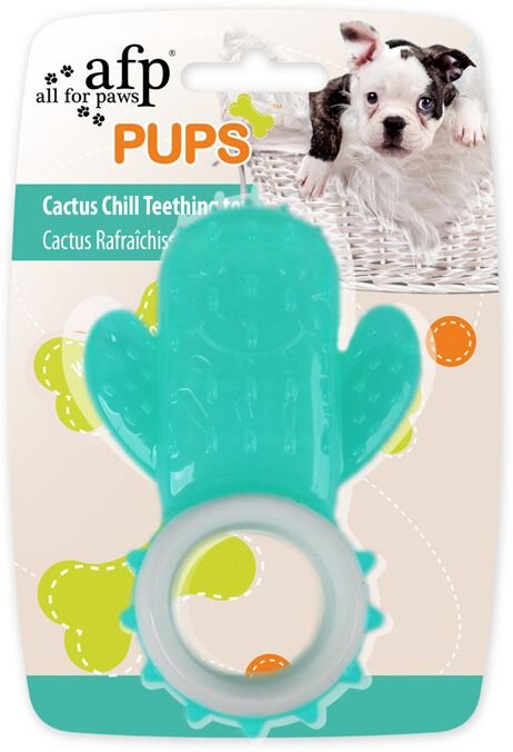 Cactus teething hot sale toy