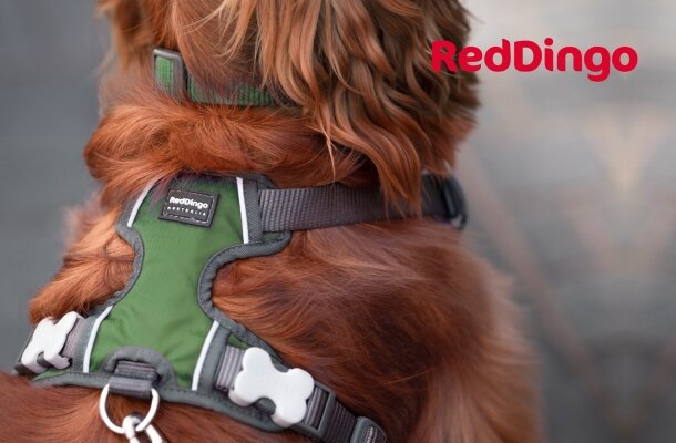 Red Dingo Padded Harnesses