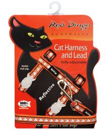 Cat Harnees & Lead - Reflective Fish Orange