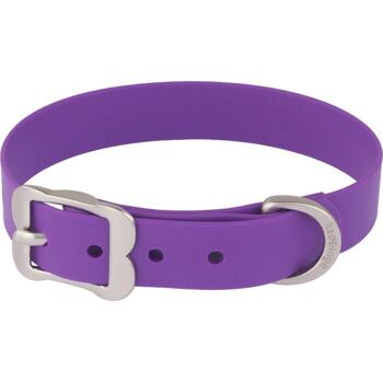 Dog Collar Vivid 20 mm x 34-42 cm - Purple