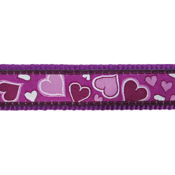 Dog Collar 25 mm x 41-63 cm – Breezy Love Purple