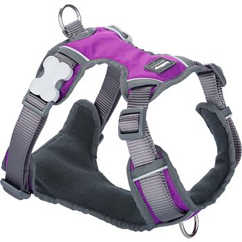 Padded Dog Harness M - 46-63 cm – Purple