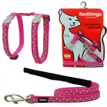 Cat Harnees & Lead - Stars Lime on Hot Pink