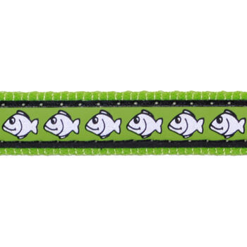 Cat Collar 12 mm x 20-32 cm – Reflective Fish Lime