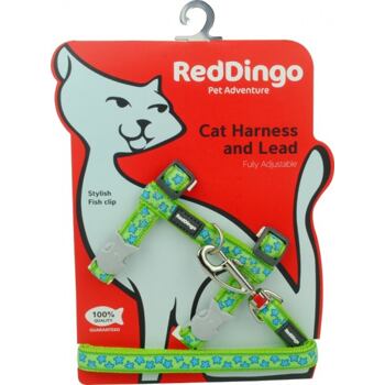 Cat Harnees & Lead - Stars Turquoise